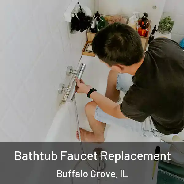  Bathtub Faucet Replacement Buffalo Grove, IL