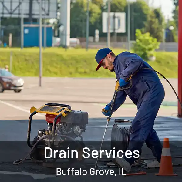  Drain Services Buffalo Grove, IL