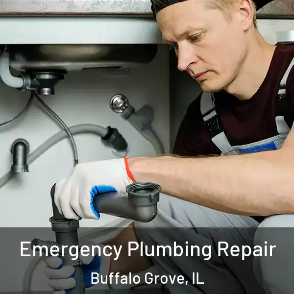  Emergency Plumbing Repair Buffalo Grove, IL