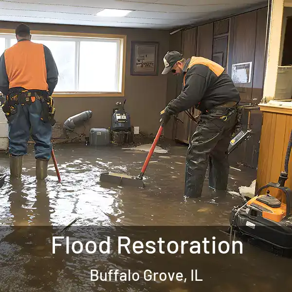  Flood Restoration Buffalo Grove, IL