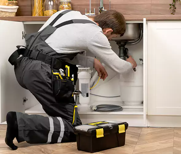 Certified Plumbers for Insinkerator Installation in Buffalo Grove