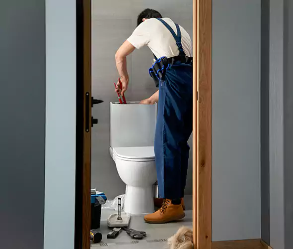 Professional Plumbers for Toilet Bowl Replacement in Buffalo Grove, IL: Schedule Affordable Toilet Replacement Services With Us