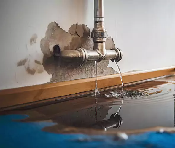 Professional Water Damage Restoration Experts in Buffalo Grove, IL — Fast, Reliable & Certified
