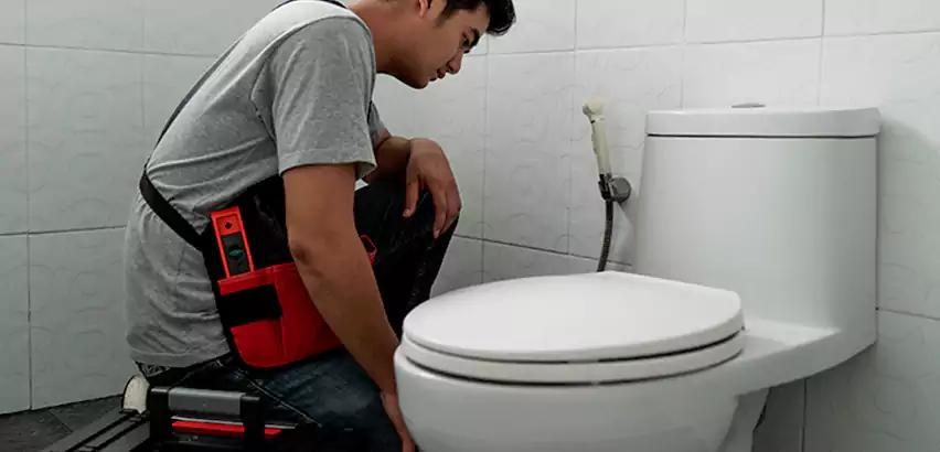 Toilet Repair in Buffalo Grove