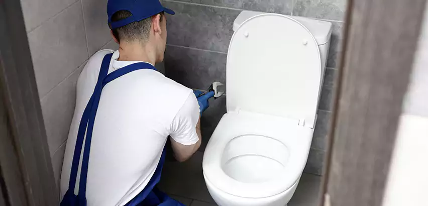Toilet Lid Replacement in Buffalo Grove