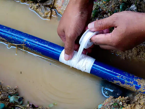  Why Choose Buffalo Grove Plumbing for Leak Detection in Buffalo Grove, IL?]