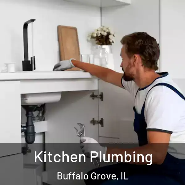  Kitchen Plumbing Buffalo Grove, IL