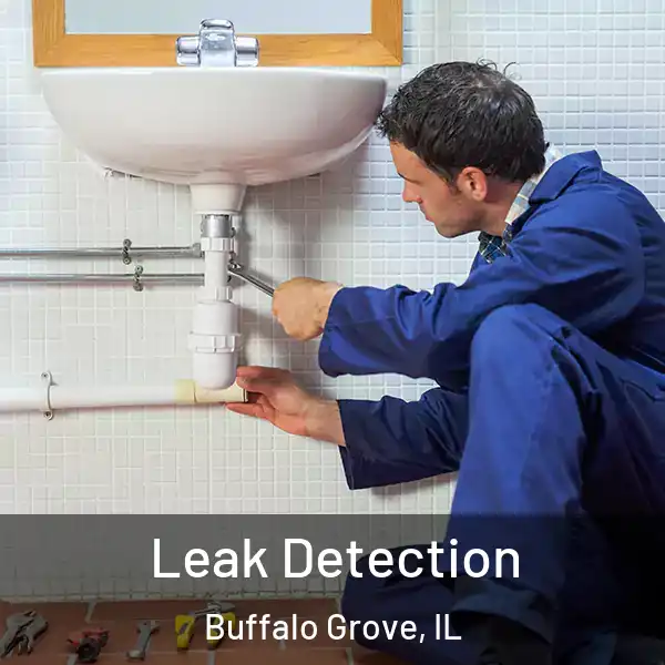  Leak Detection Buffalo Grove, IL