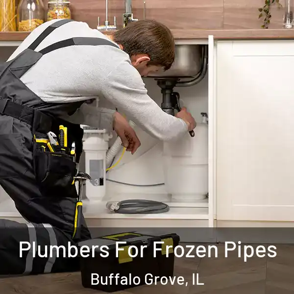  Plumbers For Frozen Pipes Buffalo Grove, IL