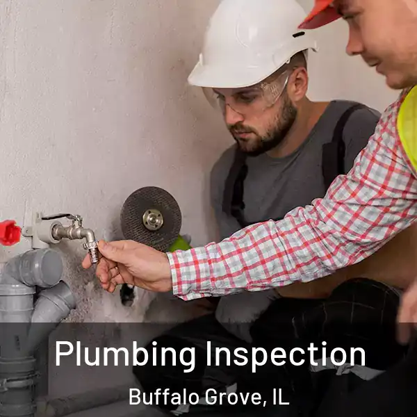  Plumbing Inspection Buffalo Grove, IL