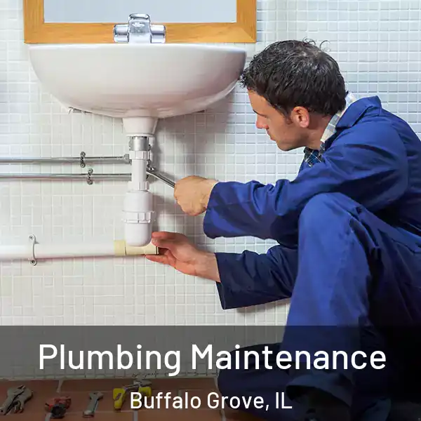  Plumbing Maintenance Buffalo Grove, IL