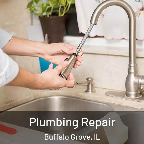  Plumbing Repair Buffalo Grove, IL