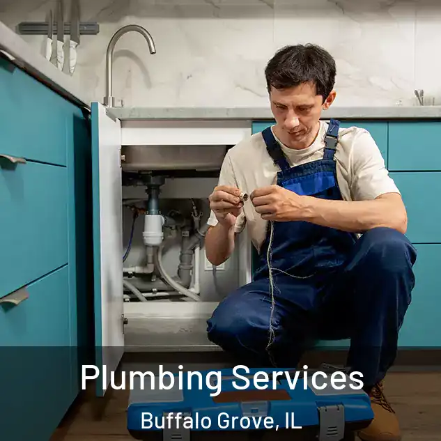  Plumbing Services Buffalo Grove, IL