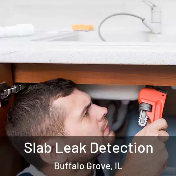  Slab Leak Detection Buffalo Grove, IL