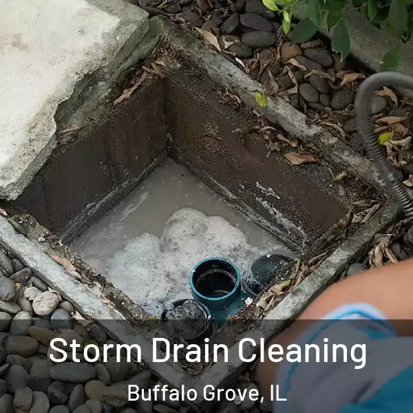  Storm Drain Cleaning Buffalo Grove, IL