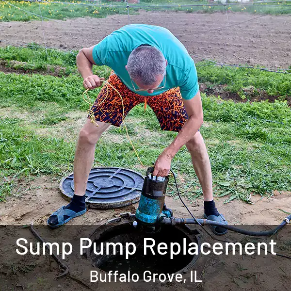  Sump Pump Replacement Buffalo Grove, IL