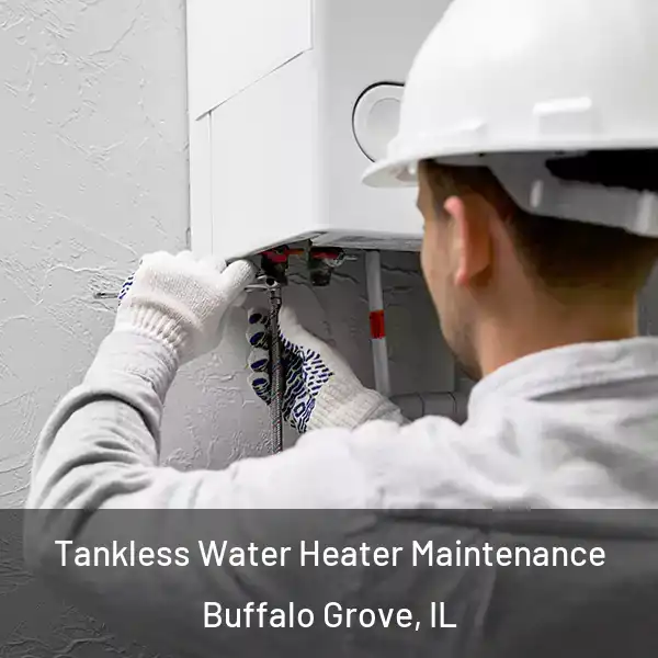  Tankless Water Heater Maintenance Buffalo Grove, IL