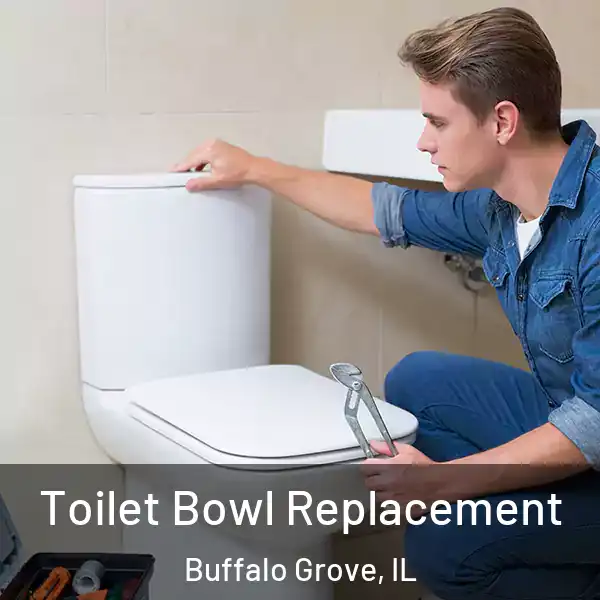  Toilet Bowl Replacement Buffalo Grove, IL