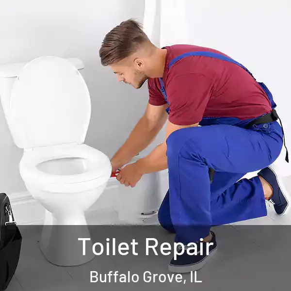  Toilet Repair Buffalo Grove, IL