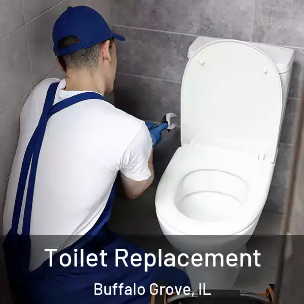  Toilet Replacement Buffalo Grove, IL