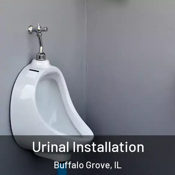  Urinal Installation Buffalo Grove, IL