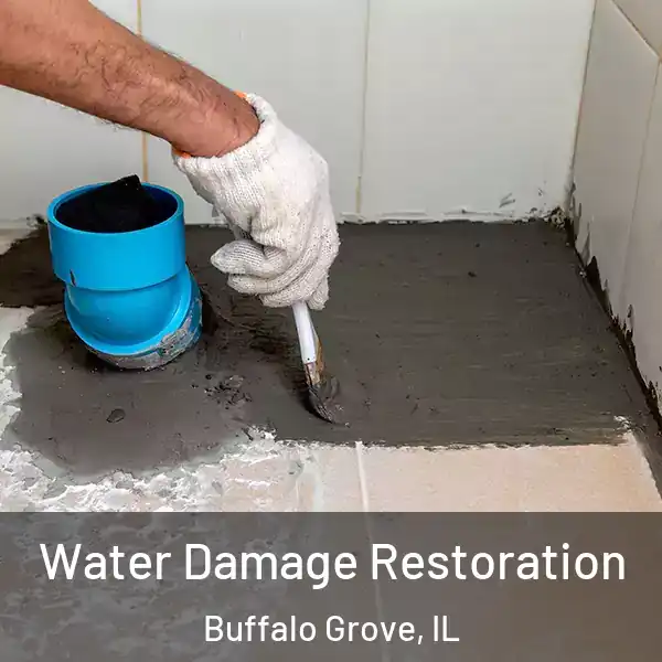  Water Damage Restoration Buffalo Grove, IL