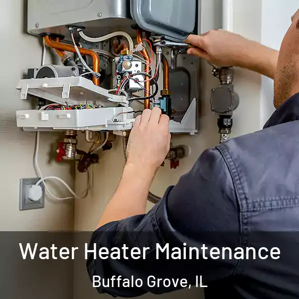  Water Heater Maintenance Buffalo Grove, IL