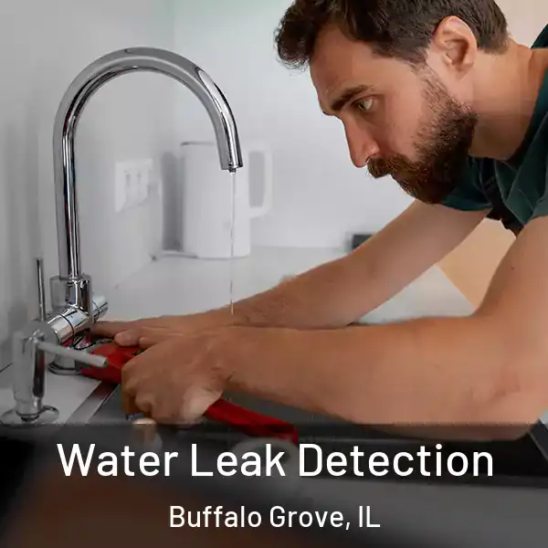  Water Leak Detection Buffalo Grove, IL